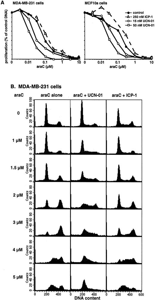 Fig. 7. The influence of UCN-01 and ICP-1 on the sensitivity of cells to araC. A, MDA-MB-231 cells (left) or MCF10a cells (right) were incubated for 24 h with the indicated concentrations of araC either alone or in combination with 15 nm UCN-01, 50 nm UCN-01, or 250 nm ICP-1. The drugs were removed, and the cells were allowed to grow for another 6 days before harvest and analysis of DNA content as a measure of proliferation. B, MDA-MB-231 cells treated as in A were harvested at 24 h, fixed, and analyzed for cell cycle distribution by flow cytometry.