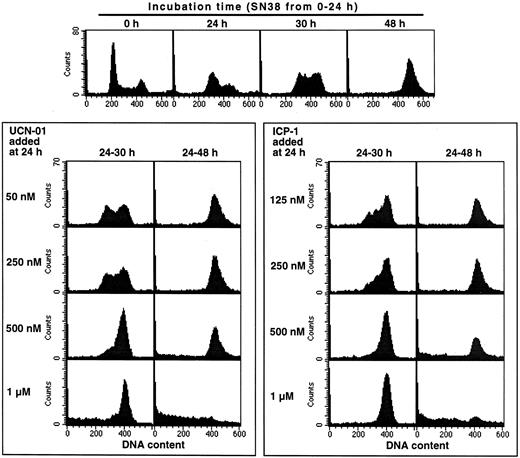 Fig. 8. The influence of human plasma on abrogation of cell cycle arrest by UCN-01 and ICP-1. MDA-MB-231 cells were incubated with 10 ng/ml SN38 for 24 h, the drug was removed, and the cells were immediately harvested or incubated until harvest at 30 or 48 h (top panel). At 24 h, UCN-01 (left panels) or ICP-1 (right panels) was added at the indicated concentrations until harvest at 30 or 48 h. At harvest, cells were fixed and analyzed for cell cycle distribution by flow cytometry. All incubations between 24 and 48 h contained 5% human plasma plus 5% bovine serum.