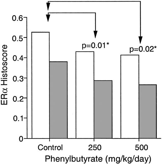 Fig. 4. Effect of PB on ERα expression in the mammary gland. ERα levels in mammary epithelial cells were evaluated immunohistochemically and expressed as a histoscore, combining the percentage of positively stained cells and intensity (assigned a value of 1–3). Mice were treated with vehicle-control or 250 or 500 mg PB/kg/day for 7 days (≥6 mice/treatment group). Estrus stage was determined in each mouse using vaginal smears. □, estrus phase; [cjs2108], diestrus, proestrus, and metestrus, combined for illustrative purposes. ∗, significance, P < 0.05 compared with control, repeated measures ANOVA.