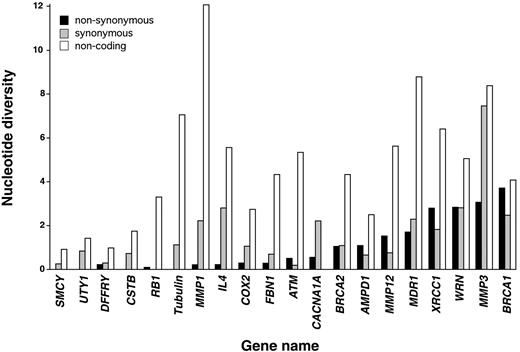 Fig. 2. Nucleotide diversity in the coding and noncoding regions of 17 autosomal and three Y-chromosome genes. Nucleotide diversity, or heterozygosity, was calculated separately for nonsynonymous (▪), synonymous ([cjs2108]), and noncoding sequence variants (□), as described in “Materials and Methods.”