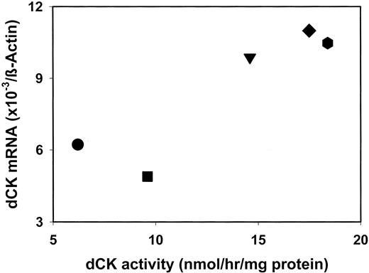 Fig 5. Relationship between dCK activity (nmol/h/mg protein) and dCK mRNA level (×10−3×dCK/β-actin; r = 0.88; P = 0.025) in the following human tumor xenografts: BxPC3, (•); WiDr (▪); Panc-01 (▴); Calu-6 (⧫), A2780 ([cjs1732]). Values are mean ± SE of three different tumors, whereas the dCK mRNA levels were determined minimally three times on the same cDNA.