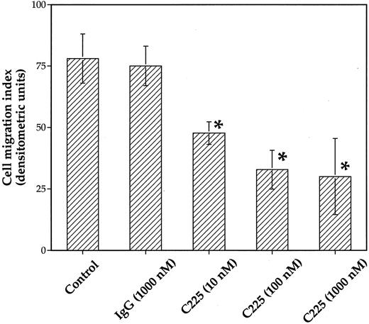 Fig. 1. Effect of C225 on SCC cell migration. Cell migration was determined using a 48-well microchemotaxis chamber as described in “Materials and Methods.” SCC-1 cell migration in response to fibronectin was measured in the presence of various concentrations (0–1000 nm) of C225. Each bar represents the mean ± SD of triplicate determinations. ∗ denotes values that are significantly different from control (dose = 0), P < 0.01. Similar results were obtained in replicate experiments.