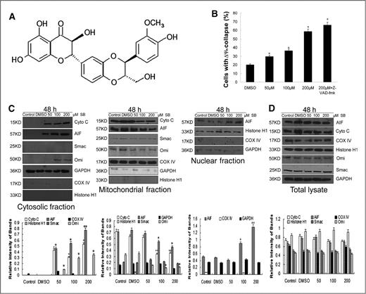 Figure 1. Effect of silibinin on ΔΨm and subcellular/submitochondrial distribution of cyto c, Omi/HtrA2, and AIF in 5637 cells. A, chemical structure of silibinin. B, cells were treated with different doses of silibinin and/or 80 μM z-VAD-fmk for 48 hours and processed for JC-1 staining followed by flow cytometry to measure the fraction of cells with depolarized mitochondrial membrane. In combination treatment, z-VAD-fmk was added 1 hour prior to silibinin treatment. Data are presented as mean ± SE of triplicate samples and are representative of 2 independent experiments. SB, silibinin. Error bars represent SEs. *, P < 0.05. C, cytosolic (left), mitochondrial (middle), and nuclear fractions (right) were prepared and Western blotting was performed to analyze cyto c, Smac/DIABLO, Omi/HtrA2, and AIF in cells incubated with different doses of silibinin for 48 hours. GAPDH, COX IV, and Histone H1 were used as cytosolic, mitochondrial, and nuclear loading control, respectively. Quantitative analyses were carried out under each panel. D, in similar treatments for 48 hours, total cell lysates were prepared and analyzed for cyto c, Smac/DIABLO, Omi/HtrA2, AIF, GAPDH, COX IV, and Histone H1 by Western blotting. Quantitative analyses were carried out under each panel. Blots are representative of 4 separate experiments. Error bars represent SEs. *, P < 0.05; **, P < 0.01.