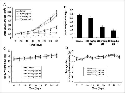 Figure 3. In vivo antitumor effect of oral silibinin on bladder cancer xenograft model. Athymic nude mice were injected with a 100 μL cell suspension containing 1×106 5637-tumorigenic cell line into the flank. After 7 days, mice were fed with saline (control) or 100, 200, and 300 mg/kg/day doses of silibinin (SB) for 32 days by oral gavage. Effects of silibinin on tumor volume (A), tumor weight (B) body weight (C), and average diet consumption (D) were recorded. Data shown are mean of 8 to 10 mice in each group. Error bars represent SEs. *, P < 0.05.