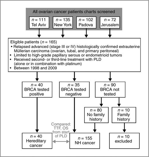 Figure 1. Study design and reviewed populations and BRCA status.