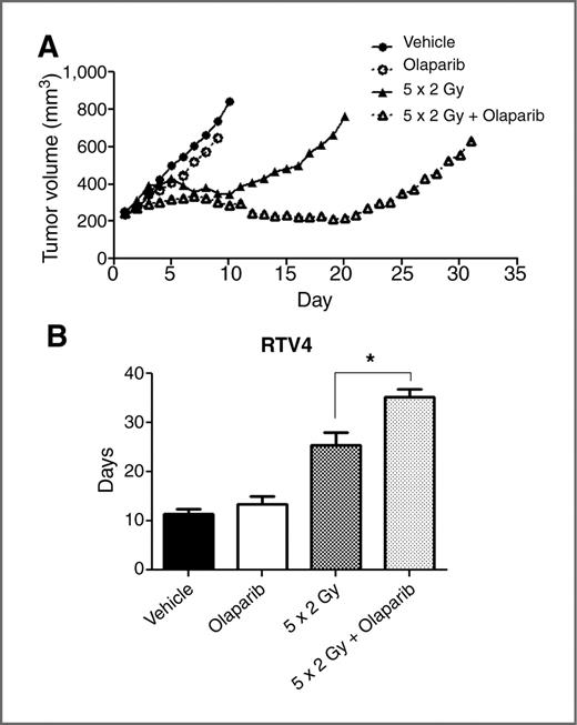 Figure 2. Effect of olaparib alone or in combination with fractionated radiation on a Calu-6 tumor xenograft. A, combination of olaparib with radiation treatment enhances the therapeutic response of Calu-6 xenografts. Tumors were randomized into 4 treatment groups (5 animals per group): vehicle (10% DMSO in PBS/10% 2-hydroxy-propyl-β-cyclodextrin daily for 5 days by oral gavage), olaparib (50 mg/kg daily for 5 days by oral gavage), 10 Gy fractionated radiotherapy (2 Gy daily for 5 days), and olaparib combined with 10 Gy fractionated radiotherapy (50 mg/kg given before 2 Gy daily for 5 days). The growth curves were plotted until the first tumor of each treatment group reached 1,000 mm3. B, number of days that tumors in each group took to reach 1,000 mm3 in tumor volume (RTV4; mean ± SE). A significant growth delay between fractionated radiotherapy and combination treatment was observed. *, P < 0.01.