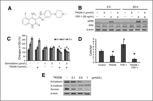 Figure 1. Effects of TKI258 on pancreatic cancer cells in vitro. A, structure of the FGFR/PDGFR/VEGFR inhibitor TKI258 (Reprinted with friendly permission from Novartis Oncology). B, Western blot analysis of signaling intermediates. Incubation of pancreatic cancer cells with TKI258 for 2 and 20 hours led to inhibition of constitutive and FGF-1–induced ERK phosphorylation. C, MTT assay of MiaPaCa2 showed improved growth inhibition upon combination of gemcitabine and TKI258 after 48 hours (#, P < 0.05) and 72 hours (*, P < 0.05). Bars, SEM. D, migration of pancreatic cancer cells upon stimulation with FGF-1 was significantly induced (#, P < 0.05). Treatment with TKI258 impaired constitutive and FGF-1–induced motility after 24 hours (*, P < 0.05). Bars, SEM. E, inhibition of FGFR/PDGFR/VEGFR with TKI258 for 24 hours diminished expression of N-cadherin and survivin in a dose-dependent manner. Results are shown for MiaPaCa2; similar results were obtained from BxPC-3 and HPAF-II (except for Fig. 1C). OD, optical density.