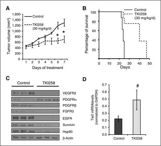 Figure 5. Impact of TKI258 on growth of established tumors in vivo. A, L3.6pl human pancreatic cancer cells were subcutaneously injected into the right flank of nude mice (n = 5 per group). Treatment (TKI258, 30 mg/kg/d) was started when tumors reached a size of 400 mm3. After 4 days of treatment, tumors did not differ in terms of tumor volume, but after 6 days, a significant growth inhibition with TKI258 therapy was observed (*, P < 0.05). Bars, SEM. B, in the orthotopic model, treatment of established tumor was initiated on day 15 after tumor cell injection (n = 8 per group). Treatment with TKI258 (30 mg/kg/d) led to a significant increase in survival rate of mice as shown in the Kaplan–Meier analyses (P < 0.01 vs. control). C, Western blot analyses of tumors from the orthotopic model show a decrease in expression of VEGFR2, PDGFRβ, FGFR3, EGFR, survivin, and Hsp90 upon therapy with TKI258. In contrast, expression of PDGFRα was increased compared with controls. D, treatment with TKI258 led to a significant increase in Tie2 expression in orthotopic tumors (#, P < 0.05). Bars, SEM. GAPDH, glyceraldehyde-3-phosphate dehydrogenase.