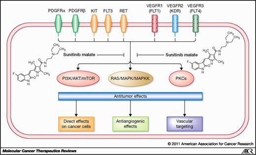 New Insights into Molecular Mechanisms of Sunitinib-Associated Side ...