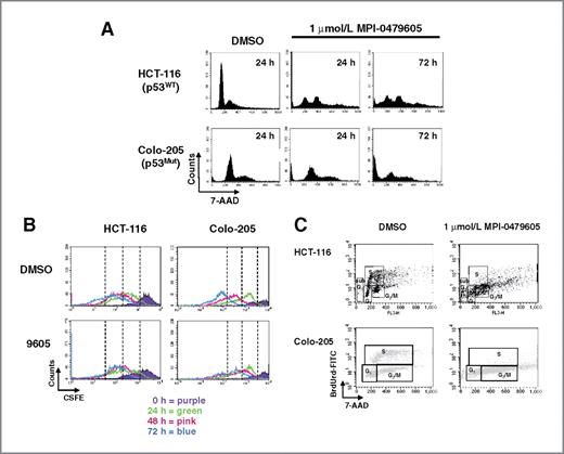 Figure 3. Effect of MPI-0479605 on cell-cycle progression. A, HCT-116 or Colo-205 cells were treated with vehicle (DMSO) or 1 μmol/L MPI-0479605. Cell-cycle analysis was conducted at 24 and 72 hours. B, G1-arrested cells were labeled with CSFE and released from arrest into media containing DMSO or 1 μmol/L MPI-0479605. Cells were analyzed by flow cytometry at 24-hour intervals as indicated. C, HCT-116 and Colo-205 cells were labeled with BdrUrd and subsequently treated with DMSO or 1 μmol/L MPI-0479605 for 48 hours. BrdUrd incorporation was analyzed by FACS. WT, wild-type; Mut, mutant.