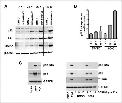 Figure 4. Characterization of the MPI-0479605–induced activation of the p53–p21 pathway. A, HCT-116 cells were treated with vehicle (DMSO) or 1 μmol/L MPI-0479605 for the indicated times. Cell lysates were analyzed by Western blotting with antibodies for p53, p21, γH2AX, and β-actin. B, cells were treated as in A, and p21 mRNA levels were determined by qRT-PCR. Data were normalized to GAPDH mRNA levels and plotted as the fold increase relative to the 7-hour vehicle-treated sample. C, HCT-116 cells treated with DMSO, 1 μmol/L MPI-0479605, or nocodazole (NOC) for 48 hours were analyzed by Western blotting with antibodies for phospho-p53(S15), total p53, and GAPDH (left). HCT-116 cells were treated with DMSO or 1 μmol/L MPI-0479605 in the absence or presence of various concentrations of CGK733 for 48 hours (right). Cell lysates were analyzed by Western blotting with antibodies for p53, phospho-p53(S15), γH2AX, and GAPDH.
