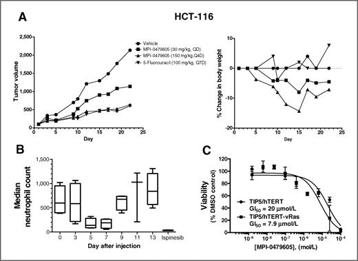 Figure 6. Effect of MPI-0479605 on xenograft tumor growth. A, nude mice bearing HCT-116 tumors were treated (n = 10 per group) intraperitoneally with MPI-0479605 at 30 mg/kg daily (QD) or at 150 mg/kg every fourth day (Q4D) for a period of 21 days. 5-Fluorouracil (5-FU) dosed weekly at 100 mg/kg was used as a reference treatment. Median tumor volume (left) and body weight (right) were measured. There was one death at day 11 in the 30-mg/kg group and one death at day 15 in the 150-mg/kg group. B, in vivo effect of MPI-0479605 on neutrophils. Swiss webster mice were injected intraperitoneally with 150 mg/kg MPI-0479605, and neutrophil counts were determined at the indicated time points (n = 4 animals per time point). C, effect of MPI-0479605 on the viability of TIP5 fibroblasts immortalized with hTERT or transformed with hTERT plus vRas.