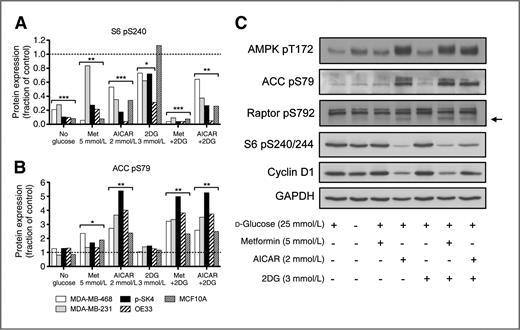 Figure 1. AICAR and the combination of 2DG and metformin (Met) activate AMPK and reduce phosphorylation of mTORC1-regulated proteins. A and B, protein levels of lysates from multiple cell lines were quantified by RPPA after treatment with the indicated compounds for 24 hours. Phosphorylations of S6 and ACC were quantified to evaluate signaling changes downstream of mTORC1 and AMPK, respectively. Values were compared with the untreated controls (broken lines) using a 2-tailed t test. *, P < 0.05; **, P < 0.01; ***, P < 0.001. C, Western blot analysis of p-SK4 cells lysate.