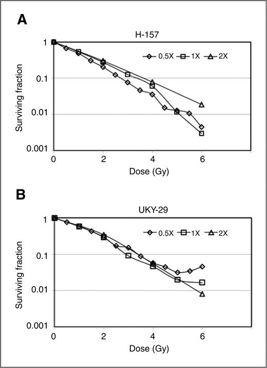 Figure 2. Effects of various fractionation schema on the survival of lung cancer cells. H-157 (A) and UKY-29 (B) cells were irradiated with fractions of either 0.5 or 1 or 2 Gy to a total dose of 6 Gy with a time interval of 8 hours between each fraction. Survival was then assessed by colony-forming assay. For figure clarity purposes, standard error is not shown, which was less than ±10%. Statistical analysis is shown in Supplementary Table 4.