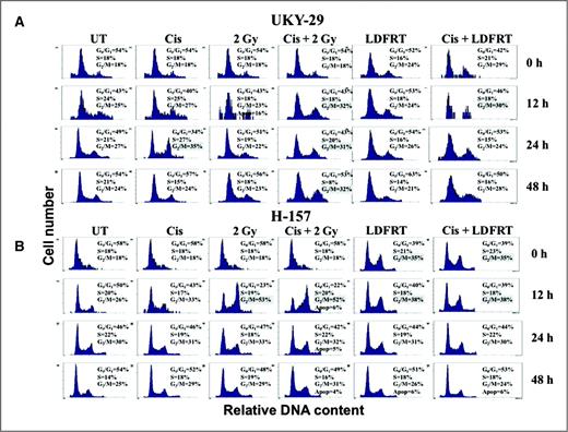 Figure 4. Cell-cycle perturbations induced by cisplatin and radiation in lung cancer cells. Flow cytometric measurement of cell-cycle distribution of the cells after incubation with cisplatin (H-157, 0.0 4 μg/mL; H460 and UKY-29, 0.25 μg/mL; A549, 0.3 μg/mL) followed by immediate irradiation (2 Gy or LDFRT). For LDFRT, 0 hours represents the time after the cells were exposed to the last fraction of 0.5 Gy. A, UKY-29; B, H-157; C, A549; and D, H460.