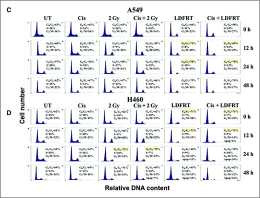 Figure 4. (Continued).