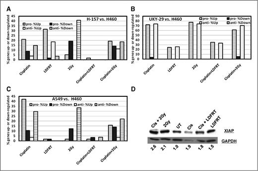 Figure 5. Changes in expression of apoptotic genes induced by cisplatin and radiation. Cells were treated with cisplatin or LDFRT or 2 Gy or their combination and total RNA was extracted from the cells 3 hours after treatment. RNA was reverse transcribed into cDNA. Real-time RT-PCR was carried out with RT2 profiler PCR array for human apoptosis to test the expression levels of 84 genes involved in apoptosis. Gene expression was normalized with the 5 housekeeping genes (B2M, HPRT1, RPL13A, GAPDH, and ACTB) for each treatment group. Furthermore, ratios of treated normalized gene expression levels to untreated normalized gene expression levels of 84 genes were used as an input data for statistical analysis. Then, the expression of genes for each treatment group in H-157 (A), UKY-29 (B), and A549 (C) cells was compared with gene expression in H460 cells. Genes were functionally classified as pro- or antiapoptotic. Percentage of upregulated or downregulated pro- and antiapoptotic genes was determined and represented in the figure for the genes that differed statistically significantly in their expression. D, XIAP immunoblot analysis of A549 protein lysates. GAPDH was used as a loading control and numbers represent densitometric analysis of XIAP normalized to GAPDH.