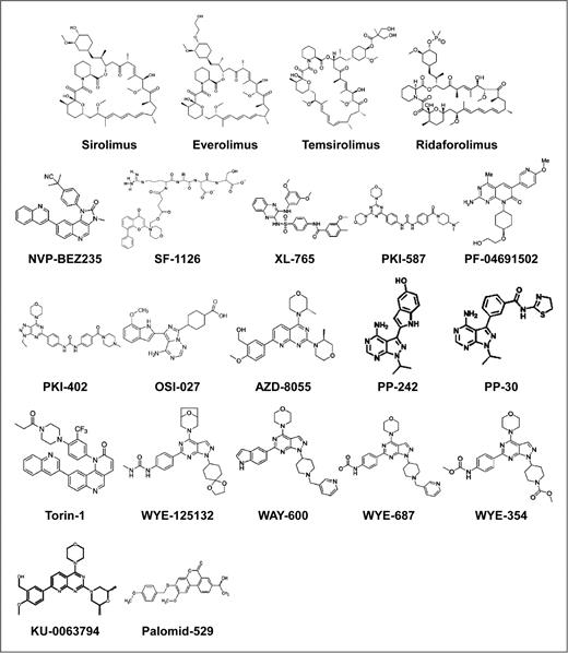 Figure 2. Molecular structures of first and second generations of mTOR inhibitors. Rapalogs are displayed in the first row. Second generation inhibitors are displayed in the second and subsequent rows. Structures of NVP-BGT226, GDC-0980, SB-2312, INK-128, XL-388 have not been disclosed at the time of publication of this article.
