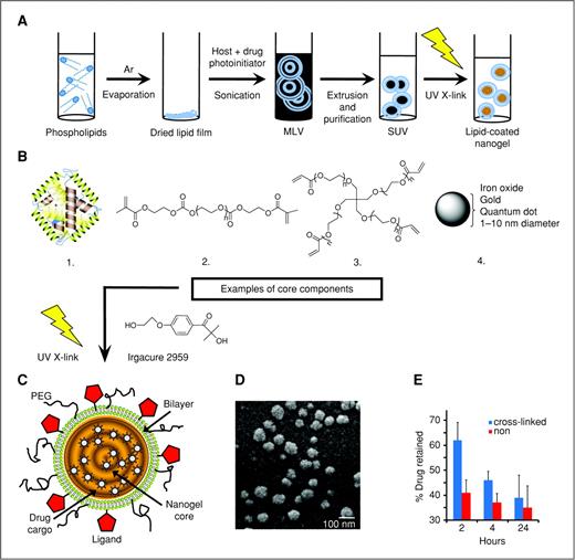 Figure 1. Formation of lipid-coated nanogels. A, the method for controlled photo-cross-linking and formation of the nanogel core. The lipid bilayer is used to encapsulate monomers and a photoinitiator (Irgacure 2959) and this is exposed to UV light to form nanogel cores. B, examples of various monomeric inputs and imaging agents that can be used to form the nanogel core are shown. 1, proteins such as HSA, α1-acid glycoprotein, and others serve as hosts for drug binding. Other inputs include polymers such as HEMA-PEG (2) or a 4-arm PEG acrylate (3). 4, to enable tracking with imaging agents, iron oxide nanoparticles, gold nanoparticles, or fluorescent nanocrystals can be encapsulated in the core, provided they are small enough (1–10 nm in diameter). C, a schematic representation of the final nanogel product with a lipid bilayer, presenting targeting ligands and polymeric coatings surrounding the gel core containing drug cargoes. D, scanning electron micrograph of a lipid-coated nanogel with a PEG2000 coating, cyclicRGDfK targeting ligand, and photo-cross-linked HSA-bound docetaxel core. E, nanogels with RGD peptide on the surface and docetaxel-loaded HSA in the cross-linked core were incubated in the presence of 20% plasma for the indicated time points. Docetaxel was extracted and quantified as described in the Supplementary Methods by using high-performance liquid chromatography.