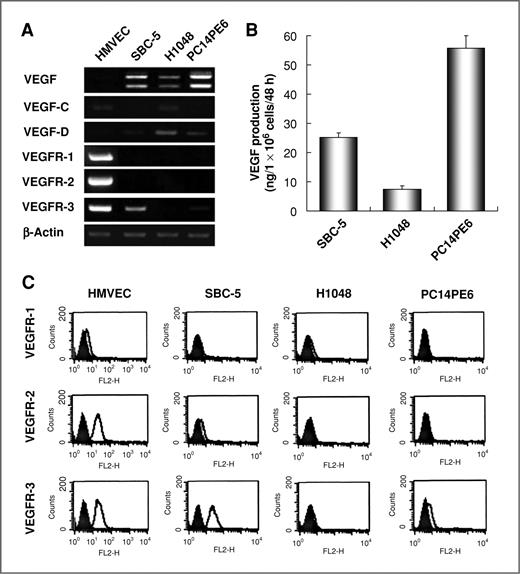 Figure 1. In vitro production of VEGF by lung cancer cell lines bearing nonmutant EGFR. A, expression of mRNAs encoding members of the VEGF and VEGFR families in human lung cancer cell lines and endothelial cells (HMVEC) bearing nonmutant EGFR as determined by RT-PCR. B, VEGF production by lung cancer cells bearing nonmutant EGFR as determined by ELISA. C, expression of VEGFRs protein by HMVECs and lung cancer cell lines bearing nonmutant EGFR as determined by flow cytometry.
