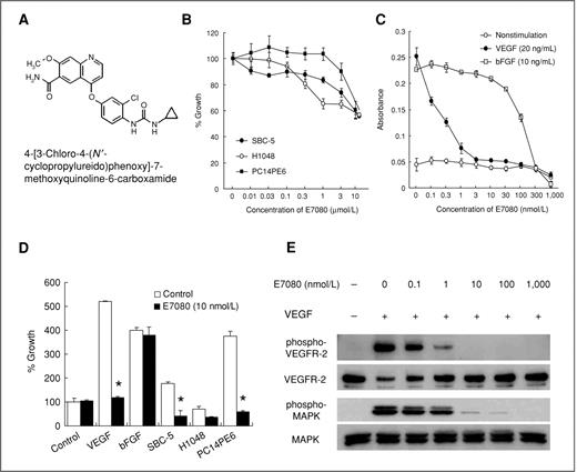Figure 2. E7080 inhibition of VEGF-induced endothelial proliferation via inhibition of VEGFR-2 phosphorylation. A, chemical structure of E7080. B–D, effect of E7080 on the proliferation of lung cancer cell lines bearing nonmutant EGFR (B), human endothelial cells (HMVEC) stimulated with recombinant VEGF and bFGF (C), and HMVECs stimulated with culture medium from lung cancer cell lines bearing nonmutant EGFR (D) as determined by MTT assays. E, effect of E7080 on VEGFR-2 phosphorylation as determined by Western blot analysis.