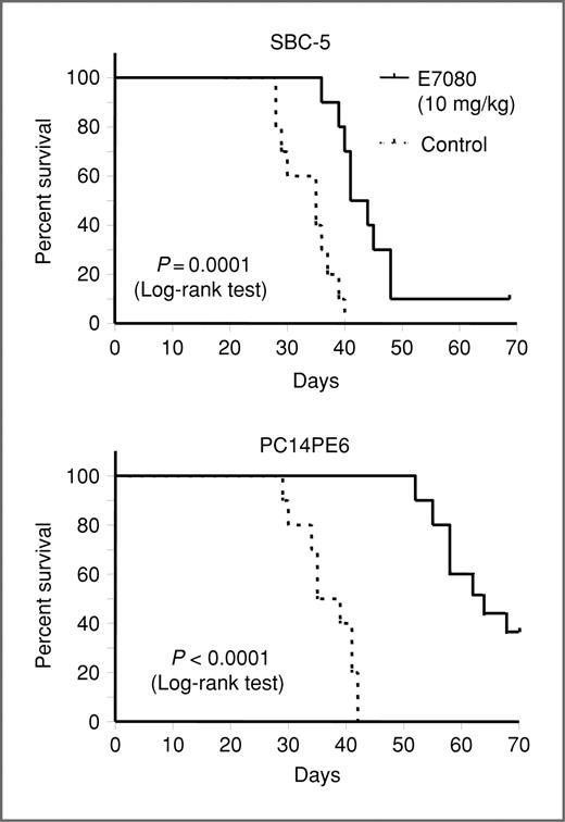 Figure 5. E7080 prolongation of the survival of mice bearing metastases of lung cancer cells bearing nonmutant EGFR. SBC-5 (A) and PC14PE6 (B) cells were intravenously inoculated into NK cell–depleted SCID mice and nude mice, respectively. The mice received distilled water or E7080 (10 mg/kg) orally, starting 14 days after tumor cell inoculation until they became moribund.