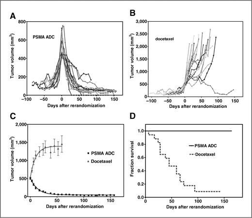 In Vitro and In Vivo Responses of Advanced Prostate Tumors to PSMA ADC ...