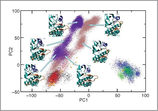 Figure 2. Results of principal component analysis on the EGFR kinase domain. Projections of molecular dynamics trajectories and the X-ray structures onto the principal planes defined by the 2 most significant principal components. Representative structures from the molecular dynamics simulations are displayed around the ATP binding site, with EGFR depicted in cyan, the A-loop in orange, the αC-helix in blue, and L858R in ball-and-stick representation. The results for 10 μs simulation of wild-type EGFR are shown in indigo and those for L858R mutation in brown. Our previous simulations (18) are included for the definition of the principal component space and are displayed in the figure for reference: black, wild type at the active state; green, wild type at the inactive state; red, L858R at the active state; blue, L858R at the inactive state; and orange, X-ray structures.
