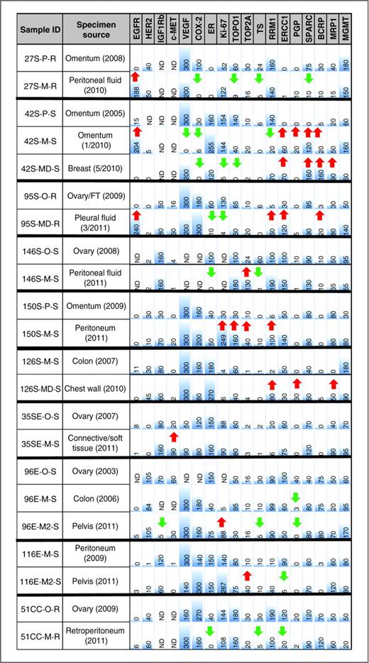 Figure 4. Protein expression profiles for selected patient-matched tumor specimens. Expression (histoscore) of each protein is graphically represented for each of the tumors profiled. Arrows, markers with more than 4-fold increased (red) or decreased (green) expression relative to the primary tumor or prior recurrence.