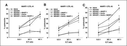 Figure 5. Bortezomib sensitizes M244R cells to patient-derived MART-1–specific CTLs. A–C, three MART-1–specific patient-derived CTL lines (MART-1 tetramer+/CD8+; #1–3) were grown in AIM-V medium supplemented with 1,000 IU/mL IL-15 + 300 IU/mL IL-2, 5% human AB serum (as effectors) and were cocultured with melanoma targets (±bortezomib, MART-126–35, combination). Cytotoxicity results are presented as mean ± SEM of duplicate samples. *, P values <0.05 significant.