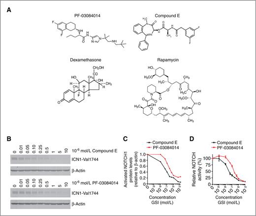 Figure 1. Inhibition of NOTCH1 activation and activity by PF-03084014. A, chemical structures of PF-03084014, Compound E, dexamethasone, and rapamycin. B, Western blot analyses of activated NOTCH1 protein in CUTLL1 lymphoma cells treated with CompE or PF-03084014; β-actin is shown as loading control. C, activated NOTCH1 protein levels (ICN1-Val1744) relative to β-actin. D, luciferase reporter analysis of NOTCH1 transcriptional activity in 293T cells transfected with an activated mutant form of NOTCH1 (ΔE NOTCH1) treated with CompE or PF-03084014. Data are represented relative to vehicle only (DMSO) treated cells.