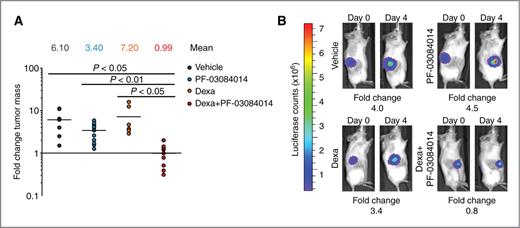 Figure 4. Antitumor effects of PF-03084014 and glucocorticoids in vivo. A, bioimaging quantification of tumor mass changes in subcutaneous CUTLL1 lymphoma xenografts in mice treated with vehicle, 15 mg/kg dexamethasone, 150 mg/kg PF-03084014, or 150 mg/kg PF-03084014 plus 15 mg/kg dexamethasone for 4 days. B, bioluminescence images depicting mice with tumor burdens closest to the median showing changes in tumor growth after treatment with vehicle, dexamethasone, PF-03084014, or PF-03084014 plus dexamethasone.