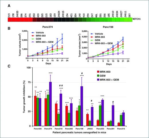 Figure 5. In vivo efficacy of MRK-003, gemcitabine, and combination of MRK-003 and gemcitabine in a panel of patient-derived PDAC xenografts. A, 9 individual cases for this study were selected from a pool of 30 PDAC xenografts based on expression of NOTCH1 transcripts at baseline. In the illustrated heatmap, red to green indicates decreasing transcript expression. The numbers on the top panel indicate each individual patient-derived PDAC xenograft. B, growth curves of 2 representative PDAC xenografts, Panc374 and Panc198, show that the combination of gemcitabine and MRK-003 can significantly inhibit tumor growth compared with the vehicle and/or gemcitabine-treated animals. Each treatment arm was comprised of 10 tumors implanted as bilateral subcutaneous xenografts in 5 mice. C, summary of tumor growth inhibition data. MRK-003 monotherapy significantly reduced tumor volume in 5 of 9 xenografts compared with the vehicle-treated xenografts, which were Panc420, Panc374, Panc219, Panc265, and JH033. There was a significant reduction in tumor growth of 4 of 9 xenografts in the combination therapy group compared with the gemcitabine alone, which were Panc198, Panc219, Panc291, and JH033. (*, P < 0.05, **, P < 0.01, ***, P < 0.001 versus vehicle-treated mice; #, P < 0.05, ##, P < 0.01 compared with the gemcitabine-treated mice). GEM, gemcitabine.