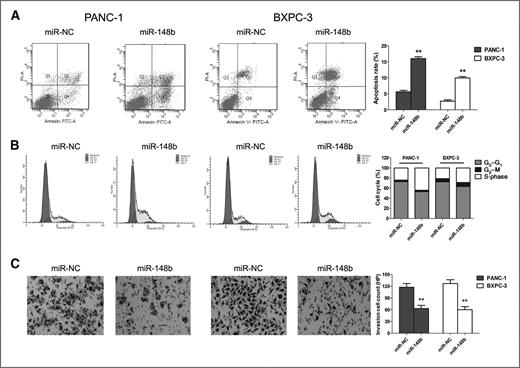 Figure 3. miR-148b induces apoptosis and cell-cycle arrest and inhibits invasion of pancreatic cancer cells. A, PANC-1 and BXPC-3 cells were transfected with miR-148b or miR-NC (50 nmol/L) for 48 hours, and the apoptosis was measured by Annexin V staining and flow cytometry. B, PANC-1 and BXPC-3 cells were treated as earlier, and cell-cycle distribution was measured by PI staining and flow cytometry. C, PANC-1 and BXPC-3 cells were treated as earlier, and the cell invasion ability was measured by Matrigel invasion assays. Quantification was conducted by counting the stained cells invading the lower chamber under a light microscopy. The results were reproducible in 3 independent experiments. **, P < 0.01 compared with control.