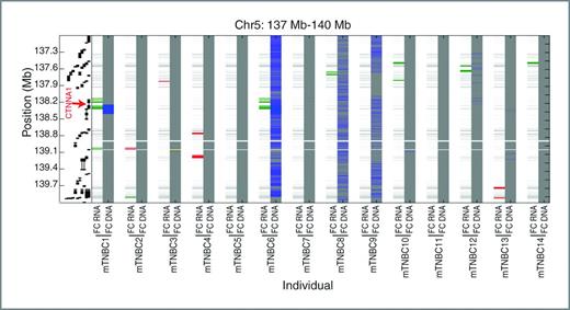 Figure 3. Integrated view of DNA and RNA fold-changes within tumor for chromosome 5q31.2-31.3 encompassing CTNNA1. For each individual, log2 fold-change of RNA and DNA are shown as compared with a population-based reference sample for RNA or the germline sample for DNA. Within each, RNA is shown as red for significantly overexpressed genes (P < 0.001 and fold-change >2) and DNA is shown on a blue-yellow scale in which deletions are blue lines. Inaccessible regions are clear and regions not exhibiting a significant fold-change are gray. Two individuals, mTNBC1 and mTNBC6, both show an approximate 150 kb homozygous deletion encompassing part of CTNNA1 leading to a significant downregulation of expression.