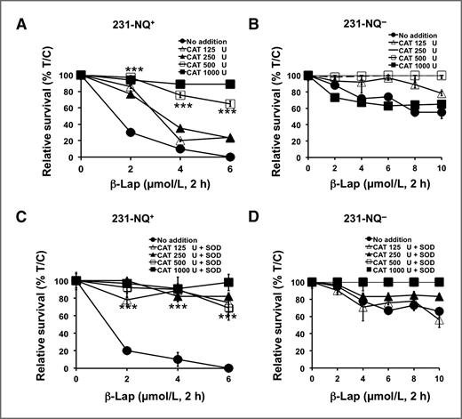 Figure 5. Exogenous catalase enhances clonogenic survival in MDA-MB 231-NQ+ cells. A and B, 231-NQ+ (A) or 231-NQ− (B) cells were treated with varying β-lap doses (μmol/L) with or without various catalase doses (U, units). Survival was assessed and results graphed as means ± SE of 3 experiments conducted in sextuplicate. C and D, 231-NQ+ or 231-NQ− cells were treated with various β-lap doses for 2 hours in the presence or absence of varying catalase doses, with or without 3,000 U CuZnSOD. Following 2-hour treatments, fresh media was added and survival assessed as in A and B. ***, P ≤ 0.001.