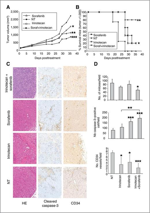 Figure 3. Sorafenib effect on irinotecan cytotoxicity in vivo. A, tumor progression curves. Tumor growth kinetics in mice xenografted with SN-38–resistant HCT116-SN50 cells and treated with vehicle alone (NT), irinotecan, sorafenib, or with the irinotecan + sorafenib combination. B, modified Kaplan–Meier survival plots for the four treatment groups. C, expression of cleaved Caspase 3 and CD34 by IHC in explanted xenografts from the four treatment groups. D, quantification of the number of mitoses, cleaved Caspase 3-positive cells, and CD34-positive endothelial cells (average number of positive cells in 10 different fields) in the four treatment groups. *, P < 0.05; **, P < 0.01; ***, P < 0.001.