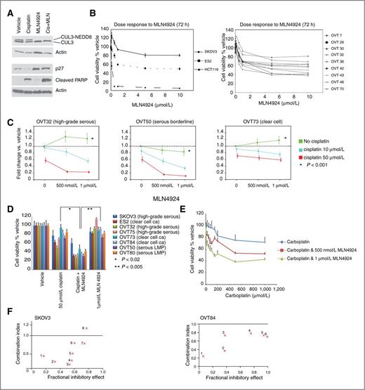 Figure 1. Short-term antiproliferative effects of MLN4924 alone and in combination with cisplatin in ovarian cancer cells. Cell viability was assessed using WST-1 assays. A, ES2 clear cell ovarian carcinoma cells were treated with dimethyl sulfoxide, MLN4924 (1 μmol/L), cisplatin (25 μmol/L), or the combination for 24 hours. MLN4924 inhibits cullin neddylation resulting in stabilization of CRL substrates such as p27. The combination-treated cells reveal increased apoptosis as evidenced by PARP cleavage. B, left: dose response to single-agent MLN4924 in SKOV3 (serous carcinoma) and ES2 (clear cell) ovarian carcinoma cells compared with that in HCT116 colon cancer cells. Error bars, SD. Right, dose response in 9 primary (patient-derived) high-grade serous ovarian cancer cell lines. C, MLN4924 sensitizes ovarian cancer cells to cisplatin cytotoxicity. OVT32 (platinum-resistant high-grade serous carcinoma), OVT50 (serous borderline tumor), and OVT73 (clear cell carcinoma) were treated as indicated, and cell survival was assayed after 24 hours of treatment by WST1 assays. Cell viability is presented as fold-change compared with vehicle-treated cells. Error bars, SD. Significance of interaction between the two drugs was tested using two-way ANOVA with P < 0.001 for all three cell lines. D, cell viability following single and combination treatment in additional primary ovarian cancer cell lines. Asterisks note P values between treatments for each cell line. Error bars, SD. E, dose response of ES2 cells to 24-hour treatment with carboplatin alone or in combination with MLN4924 (using WST-1 assay). Error bars, + SD. F, combination indices between MLN4924 and cisplatin in SKOV3 cells and OVT84 ovarian clear cell carcinoma primary cell line. Each cell line was treated with a constant dose of MLN4924 (SKOV3-1.0 μmol/l and OVT84-0.5 μmol/l) in combination with a range of cisplatin concentrations (SKOV3: 1) 5 μmol/L; 2) 10 μmol/L; 3) 20 μmol/L; 4) 50 μmol/L; 5) 100 μmol/L; 6) 200 μmol/L; 7) 500 μmol/L; and 8) 1 μmol/L; OVT84: 1) 10 μmol/L; 2) 25 μmol/L; 3) 50 μmol/L; 4) 75 μmol/L; 5) 100 μmol/L; 6) 150 μmol/L). Combination indices of 1.0, less than 1.0, and more than 1.0 indicate additive, synergistic, and antagonistic effects, respectively. Fractional inhibitory effect of 1.0 signifies 100% cell death.