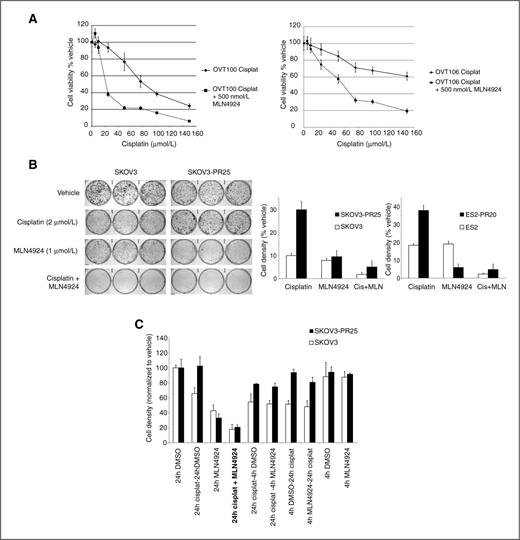 Figure 2. MLN4924 sensitizes chemoresistant ovarian cancer cells to cisplatin. A, dose response to cisplatin alone and in combination with MLN4924 in OVT100 and OVT106 high-grade serous ovarian cancer cell lines established from patients with residual disease following neoadjuvant carboplatin and taxol chemotherapy. Error bars, SD. B, platinum-resistant SKOV3 and ES2 cells were generated by repeated short-term exposure to escalating concentrations of cisplatin. Long-term drug-induced toxicity was assayed using focus formation assays following a single 24-hour exposure to vehicle or the drugs as indicated (representative experiment shown and quantitated on the right; vehicle-treated cells were plated at lower density). Error bars, SD. C, the effects of duration and timing of MLN4924 (1 μmol/L) alone and in combination with cisplatin (2 μmol/L) on long-term ovarian cancer cell survival. Cell viability was assayed using focus formation. The order of drugs listed on the x-axis labels corresponds to the sequence of experimental drug treatment, except for the MLN4924 + cisplatin 24-hour cotreated group, which appears in bold font. Error bars, SD. DMSO, dimethyl sulfoxide.