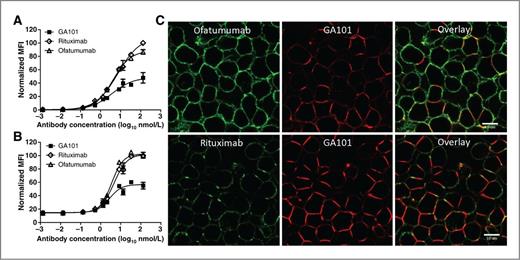 Figure 1. Antibody-binding assay comparing binding of GA101 (black squares), rituximab (open diamonds), and ofatumumab (open triangles) to CD20-expressing NHL cells Z138 (A) and SU-DHL4 (B). Cells were incubated for 30 minutes at 4°C with increasing concentrations of CD20 antibodies followed by staining using a FITC-labeled secondary antibody and flow cytometry analysis. Dead cells were excluded by PI staining. Calculated EC50 values using SU-DHL4: GA101, 3.7 nmol/L; rituximab, 7.4 nmol/L; ofatumumab, 4.1 nmol/L. Statistical analysis corresponding to comparison of the maximal binding on Z138 cells: GA101 versus rituximab, P = 0.0028; GA101 versus ofatumumab, P = 0.0013; rituximab versus ofatumumab, P = 0.0006; SUDHL4 cells: GA101 versus rituximab, P = 0.0009; GA101 versus ofatumumab, P = 0.0037; rituximab versus ofatumumab, P = 0.9233. C, redistribution of CD20 on Z138 cells by GA101, rituximab, and ofatumumab: top, overlay of GA101–Alexa Fluor 568- and ofatumumab-Alexa Fluor 488–bound CD20 complexes; bottom, overlay of GA101-Alexa Fluor 568–bound CD20 complexes and rituximab–Alexa Fluor 488–bound CD20 complexes. The average fluorescence intensity and SDs of one of three independent experiments were calculated from the triplicates of each experiment. MFI, mean fluorescence intensity.