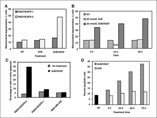 Figure 3. GrB/VEGF121 triggers apoptosis in target cells via mitochondrial depolarization. A and B, mitochondrial depolarization of PAE/VEGFR-2 and PAE/VEGFR-1 cells following treatment with GrB or GrB/VEGF121. GrB treatment (20 nmol/L) did not trigger mitochondrial depolarization in either cell. GrB/VEGF121 treatment resulted in significant levels of mitochondrial depolarization in PAE/VEGFR-2 cells within 4 hours of treatment. C and D, detection of apoptosis in VEGFR-2+ cells. Cells were treated with GrB or GrB/VEGF121 for various times. Apoptosis was detected by flow cytometry following incubation with Annexin V and PI. N.D., not done. NT, no treatment.