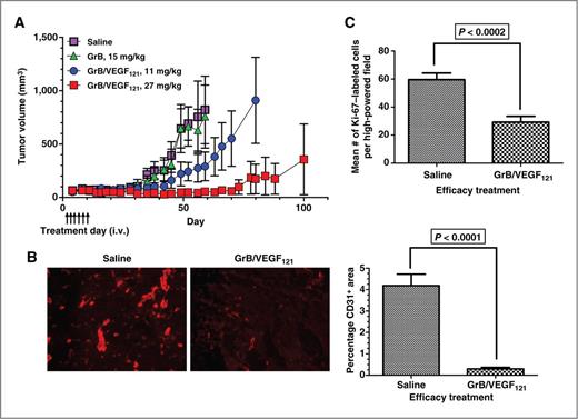 Figure 6. Antitumor efficacy of GrB/VEGF121. A, mice with PC-3 tumor xenografts were intravenously injected with saline, GrB, or GrB/VEGF121 at the indicated times (arrows). Mean tumor volume was calculated as W x H x L as measured with digital calipers. B, representative immunofluorescent CD31 staining of saline- and GrB/VEGF121–treated tumors. Quantification of percentage CD31+ area revealed that GrB/VEGF121 significantly reduced the overall vascular area compared with the saline treatment. C, quantification of the growth rate of PC-3 tumor cells by Ki-67. A minimum of 5 fields were assessed per slide. GrB/VEGF121 treatment reduced the number of cycling cells by 50% compared with tumors from saline-treated mice.
