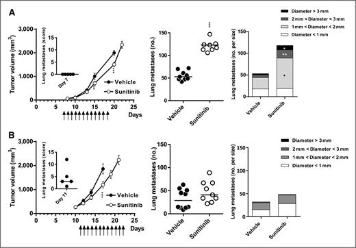 Figure 2. Effect of sunitinib on metastatic LLC. LLC cells were injected in the tibial muscle of C57/BL6 mice, which then received vehicle or sunitinib (30 mg/kg, ↑, 10 per group) for 12 days starting on day 7 (A), when tumors were palpable (60–80 mm3) and there were no lung metastases (A, inset), or from day 11 (B), when the mean tumor volume was 300 mm3 and lung metastases were established (B, inset). A and B, antitumor activity of sunitinib (mean tumor volume ± SEM, ** P < 0.01, ***P < 0.001; left); total number of metastatic nodules at death (i.e., primary tumor volume 2,000 mm3; ***, P < 0.001; middle); number of metastatic nodules divided per size (*, P < 0.05; **, P < 0.01; right).