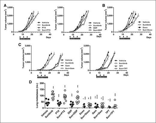 Figure 3. Antitumor and antimetastatic activity on LLC of sunitinib in combination with different chemotherapeutic agents. LLC cells were injected in the tibial muscle of C57/BL6 mice, which were randomized on day 7 (8–10/group, palpable tumors) to receive either vehicle, sunitinib, or one of the chemotherapeutic agents alone or in combination: A, paclitaxel (PTX, 20 mg/kg) and cisplatin (DDP, 5 mg/kg); B, doxorubicin (Doxo, 6 mg/kg); C, gemcitabine (Gem, 100 mg/kg) and topotecan (TPT, 10 mg/kg). All drugs were given Q4 × 3, singly (▴) or with sunitinib (Sun, 30 mg/kg, ↑, daily for 12 days). A to C, antitumor activity of chemotherapy together with sunitinib (mean tumor volume ± SEM); D, number of metastatic nodules at scheduled death (i.e. primary tumor volume of 2,000 mm3). For vehicle and sunitinib groups, values in the figure are representative of three independent experiments (*, P < 0.05; **, P < 0.01; ***, P < 0.001 vs. vehicle, ^^^, P < 0.001 vs. sunitinib). Statistical analysis was done on the corresponding vehicle and sunitinib groups.