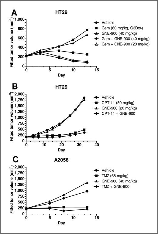 Figure 6. In vivo evaluation of the ability of GNE-900 to enhance the activity of gemcitabine, CPT-11, and temozolomide in tumor xenograft models. A, GNE-900 enhances the activity of gemcitabine in an HT-29 xenograft model. Gemcitabine (60 mg/kg) was administered i.p. once every 3 days (Q3D) for a total of 4 doses. GNE-900 was administered orally at 20 or 40 mg/kg 24 hours after gemcitabine (n = 10 animals per group). B, combination of GNE-900 and CPT-11 in an HT-29 xenograft model. CPT-11 was administered at 50 mg/kg i.p. every 4 days (Q4D) for a total of 4 doses. GNE-900 was administered orally at 20 mg/kg 24 hours following CPT-11 (n = 10 animals per group). C, combination of GNE-900 and temozolomide in an A2058 xenograft model. Temozolomide was administered at 68 mg/kg orally daily for 5 days (QD×5) for 1 cycle. GNE-900 was administered orally at 40 mg/kg 4 hours after temozolomide (n = 10 animals per group).