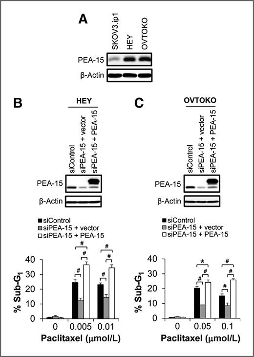 Figure 1. PEA-15 mediated paclitaxel sensitization in HEY and OVTOKO cells. A, expression of PEA-15 in SKOV3.ip1, HEY, and OVTOKO cells was determined by Western blotting. β-Actin served as a loading control. HEY (B) and OVTOKO (C) cells were treated with PEA-15–targeting siRNA and then transiently transfected 48 hours later with the pcDNA3.1 vector or the pcDNA3.1 vector carrying PEA-15. Expression of PEA-15 was determined by Western blotting 48 hours after transfection (top). β-Actin served as a loading control. Following PEA-15 silencing and then re-expression, the sensitivities of HEY and OVTOKO cells to paclitaxel were determined by trypan blue exclusion assay 72 hours after paclitaxel treatment (bottom). *, P < 0.05; #, P < 0.001.