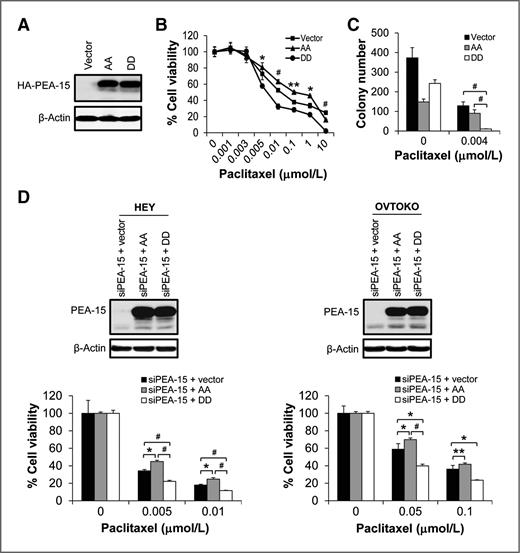 Figure 2. Overexpression of PEA-15 phosphorylated at both Ser104 and Ser116 enhanced the sensitivity of ovarian cancer cells to paclitaxel. A, expression of hemagglutinin (HA)-tagged PEA-15 was determined by Western blotting in SKOV3.ip1 stable cells. β-Actin served as a loading control. The sensitivity of SKOV3.ip1 stable cells to paclitaxel was determined by WST-1 assay (B) 72 hours after paclitaxel treatment and anchorage-independent growth assay (C) 3 weeks after paclitaxel treatment. A–C, vector, SKOV3.ip1-vector; AA, SKOV3.ip1-AA (stably expressing nonphosphorylatable PEA-15 at Ser104 and Ser116, which were substituted with alanine); DD, SKOV3.ip1-DD (stably expressing phosphomimetic PEA-15 at Ser104 and Ser116, which were substituted with aspartic acid). D, PEA-15 expression in HEY and OVTOKO cells was silenced using PEA-15–targeting siRNA and then cells were transiently transfected with the pcDNA3.1 vector, the pcDNA3.1 vector carrying nonphosphorylatable PEA-15 (AA; Ser104 and Ser116 of PEA-15 substituted with alanine) or the pcDNA3.1 vector carrying phosphomimetic PEA-15 (DD; Ser104 and Ser116 of PEA-15 substituted with aspartic acid). Expression of PEA-15 was determined by Western blotting 48 hours after transfection (top). β-Actin served as a loading control. Following transfection, the sensitivity of HEY and OVTOKO cells to paclitaxel was determined by trypan blue exclusion assay 72 hours after paclitaxel treatment (bottom). *, P < 0.05; **, P < 0.01; #, P < 0.001.