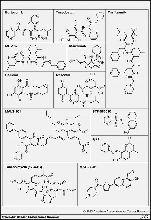 Figure 4. Chemical structures of small molecular compounds targeting protein quality control and the UPR in multiple myeloma.