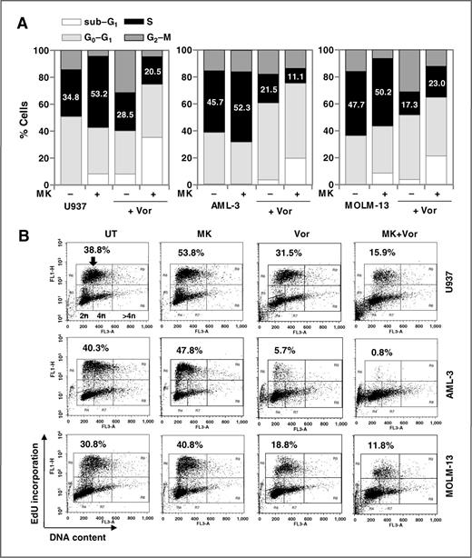 Figure 3. MK-8776/HDACIs abrogate intra-S-phase checkpoint and DNA replication. Cells were treated with MK-8776 ± 1.5 μmol/L vorinostat for 16 hours. A, cell-cycle analysis. B, EdU incorporation (values indicate the percentage of EdU+ cells).