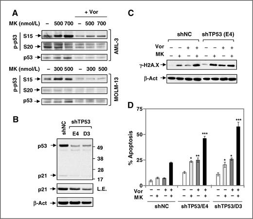 Figure 5. HDACIs diminish p53 Ser15 phosphorylation induced by MK-8776, and p53 shRNA sensitizes p53-wt leukemia cells to this regimen. A, p53wt leukemia cells were treated with MK-8776 ± 1.5 μmol/L vorinostat for 16 hours, after which total and phosphorylation (Ser15 and Ser20) of p53 were monitored by immunoblotting. B, p53 was knocked down by shRNA (shChk1, 2 clones designated E4 and D3; shNC, a scrambled negative control) in AML-3 cells. C and D, cells were then treated with 300 nmol/L MK-8776 ± 1.5 μmol/L vorinostat, after which DNA damage (γ-H2A.X; C) or apoptosis (Annexin+; D) were monitored by immunoblotting and flow cytometry, respectively.